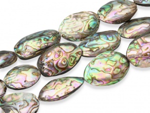 Muszla abalone ~ 27 x 17 mm [~18cm]